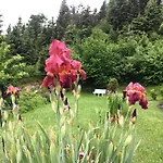 Bäckeralm© - 16 + Bed & Breakfast 3*