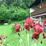 Bed & Breakfast Bäckeralm© - 16 +