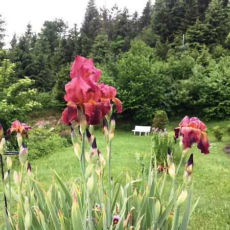Baeckeralm - 16 + Bed and breakfast 3*